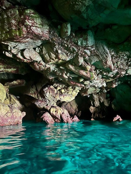 Picture 4 for Activity Boat tour of Favignana and Levanzo from Trapani 5