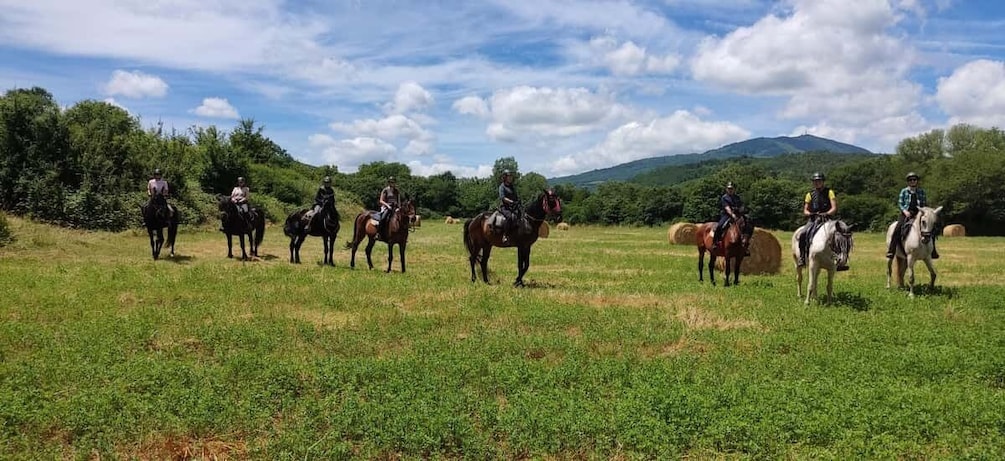 Picture 2 for Activity Half-day horseback riding day trip in Tuscany for beginners 2