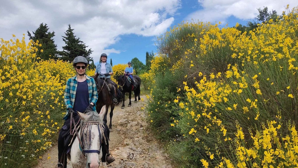 Half-day horseback riding day trip in Tuscany for beginners 1