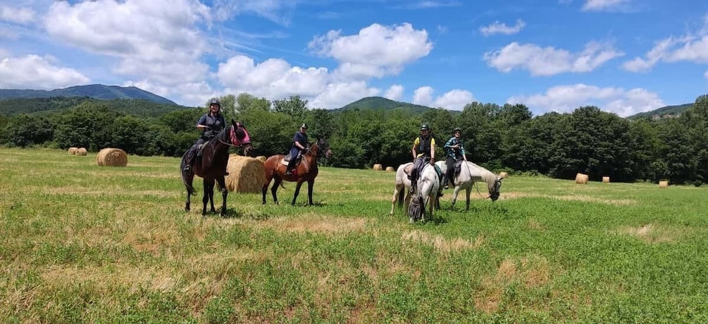 Picture 1 for Activity Half-day horseback riding day trip in Tuscany for beginners 3
