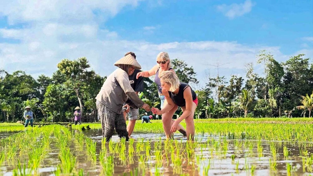 Exclusive Tetebatu: Waterfall, Rice Fields, Monkey & Weaving 1