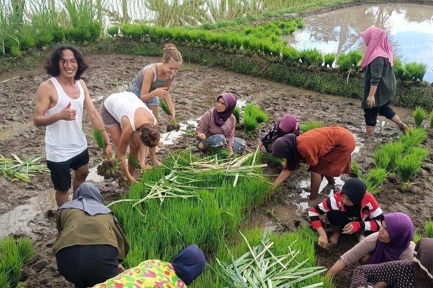 Picture 8 for Activity Exclusive Tetebatu: Waterfall, Rice Fields, Monkey & Weaving 5