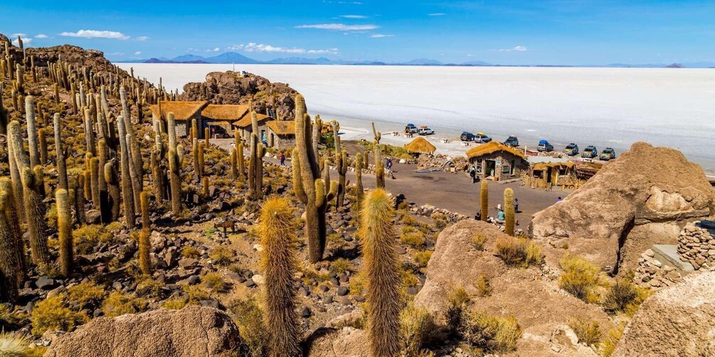 A desert landscape with cacti, a salt flat, and a small settlement with thatched-roof huts. 2