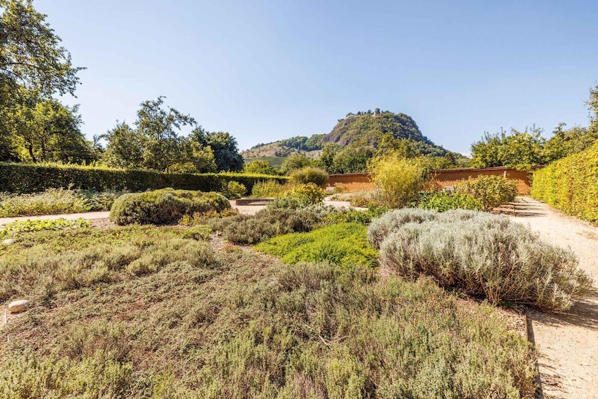 Singing: Guided herb tour "Wild herbs on the banks of the Aa" 1