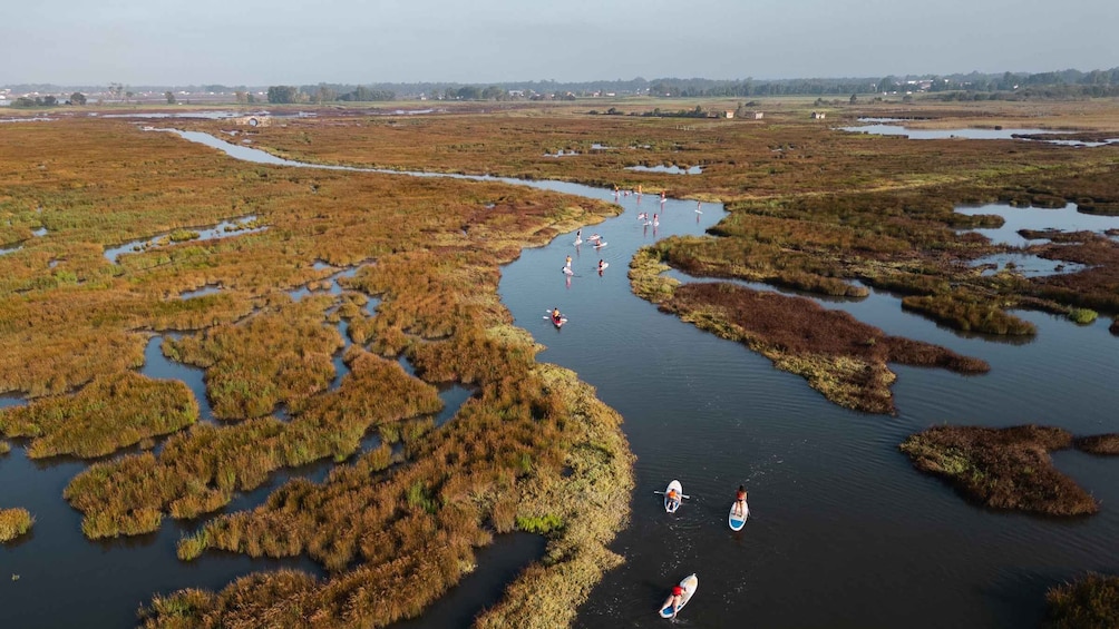 Picture 11 for Activity Sup Tour through the Ria of Aveiro Canals in Ovar 2