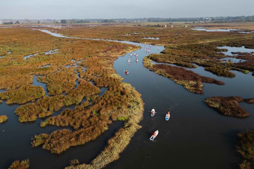 A marshland with water channels and people paddling kayaks. 2
