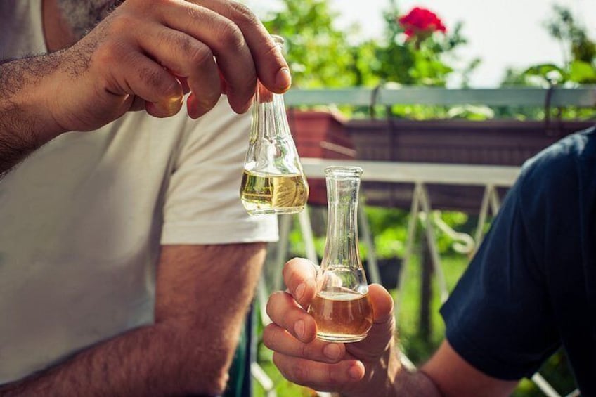From Belgrade: Ram & Golubac Fortresses with Rakia Tasting 4