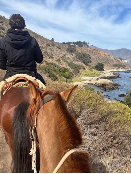 A person riding a horse along a coastal trail with a view of the ocean and hills. 5
