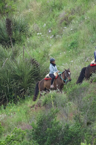 A person riding a horse on a grassy hill. 4