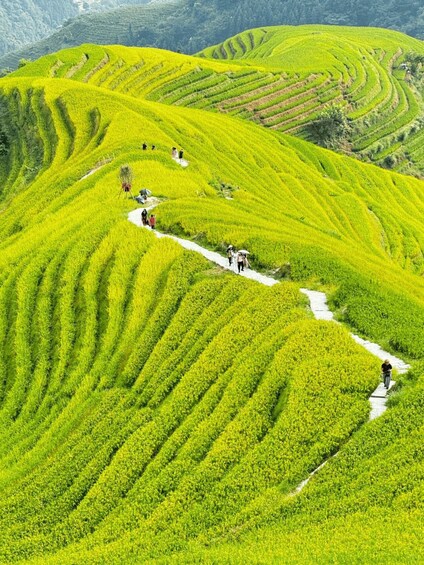 Picture 4 for Activity Guilin City, Longji Terraces, Li River Cruise Shared Trip 2