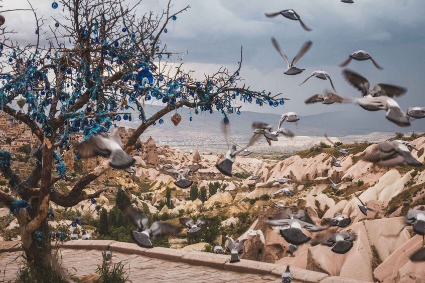 A tree with blue ornaments, a flock of birds flying, and a rocky landscape. 5