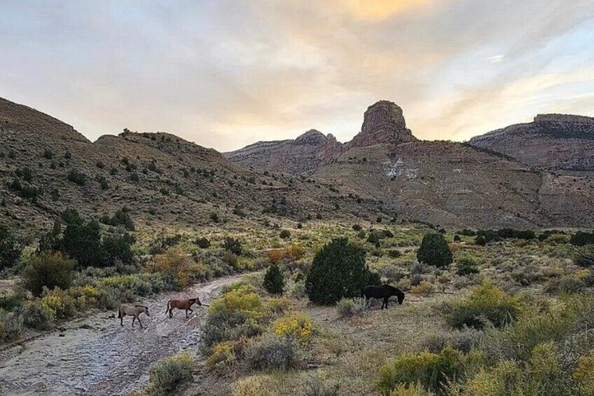 Paisaje desértico con un camino de tierra, vegetación escasa y una formación rocosa destacada al fondo. 3