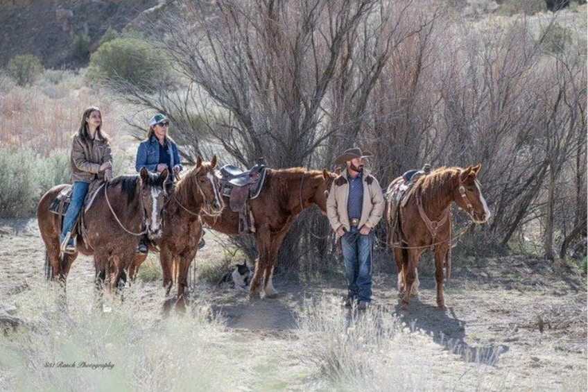 Three people on horseback in a natural setting with sparse vegetation and trees. 3