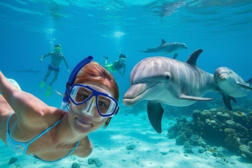 Snorkeling near playful wild dolphins in their natural habitat 1