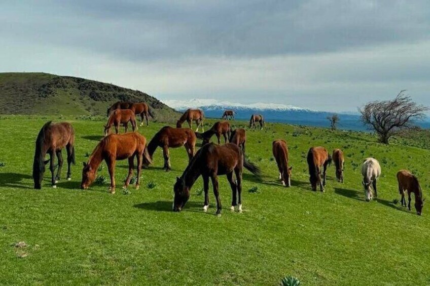 Nuratau Village Home Stay and Hiking Tours from Samarkand 4