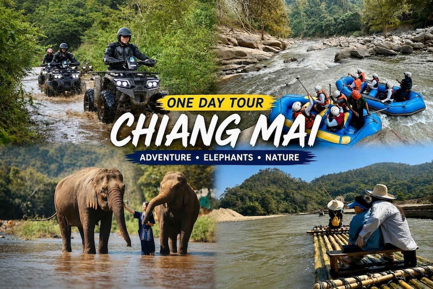 A river rafting activity, elephants in a natural setting, and a person on a bamboo raft. 1