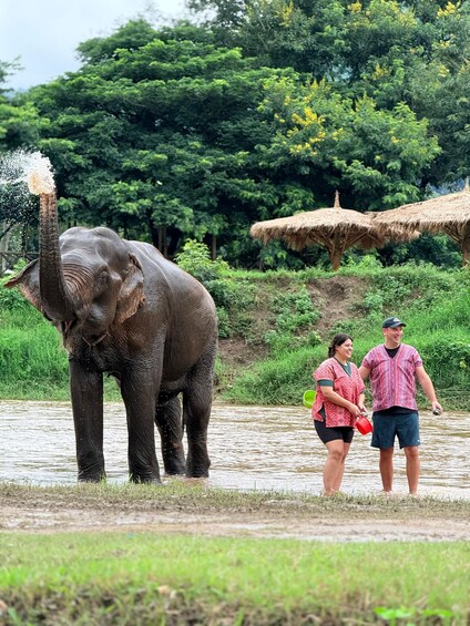 Picture 22 for Activity Chiang Mai Adventure: Rafting, ATV & Elephants Experience. 4