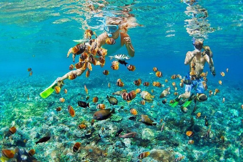 Two snorkelers surrounded by a variety of fish in clear blue water. 2