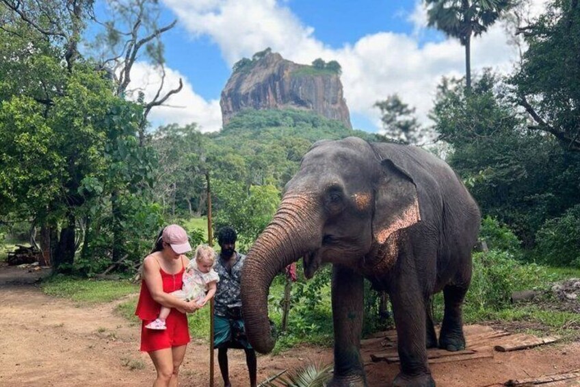 An elephant with a person holding a child, surrounded by lush greenery and a prominent rock formation in the background. 4