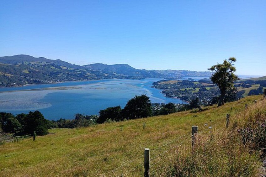 Otago Harbour views from Highcliff Road 2