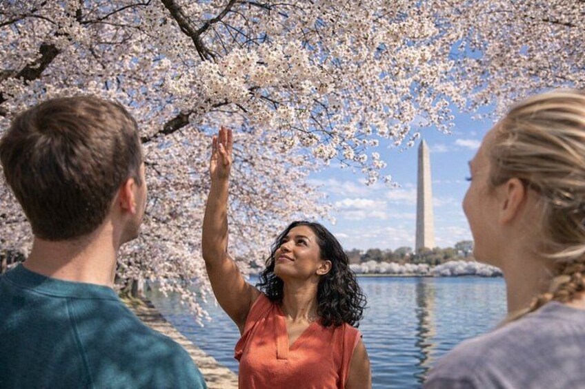 Washington DC: Easy Sightseeing Guided Monuments Tour by E-Cart 2
