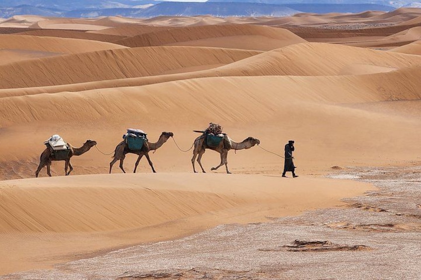 A desert landscape with sand dunes and camels. 1