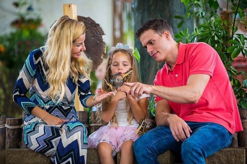 Dubai Butterfly Garden Tickets 4