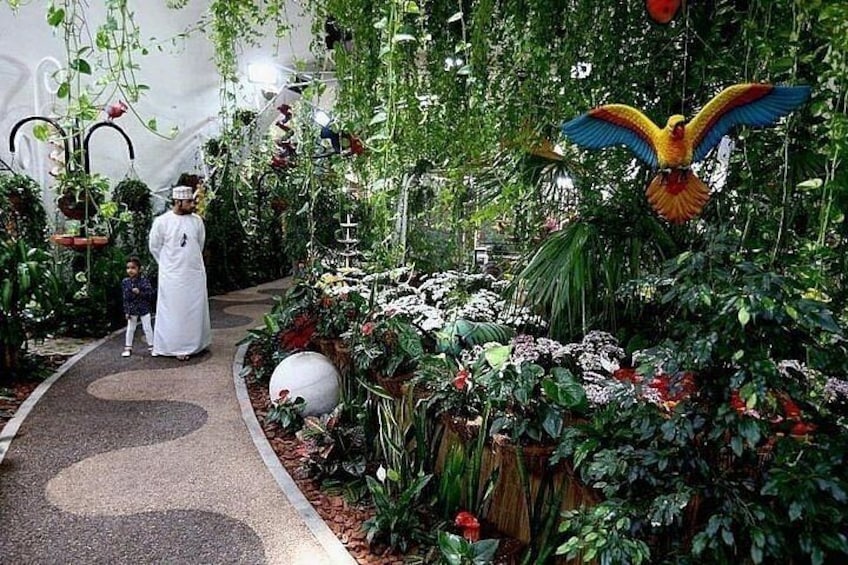 Dubai Butterfly Garden Tickets 2