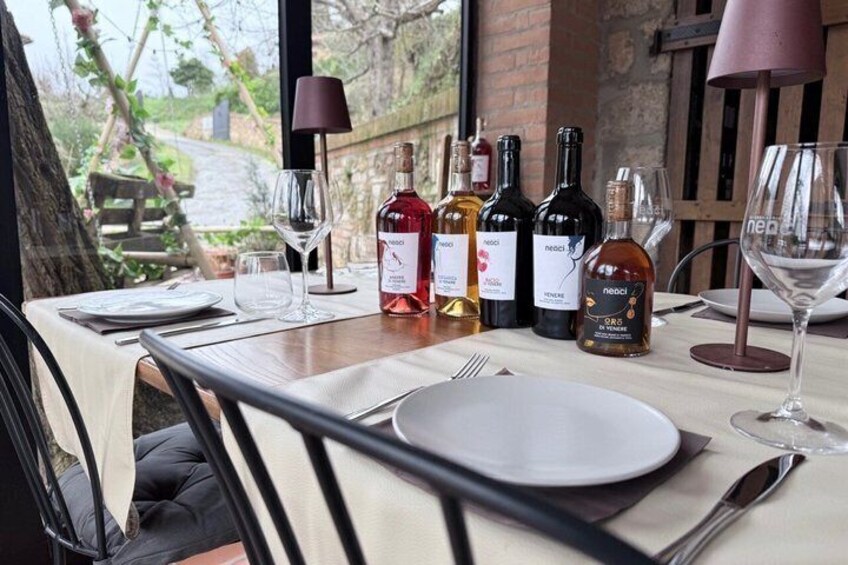 Wine Tasting near Montepulciano 5 Wines Tuscan Light Lunch 3