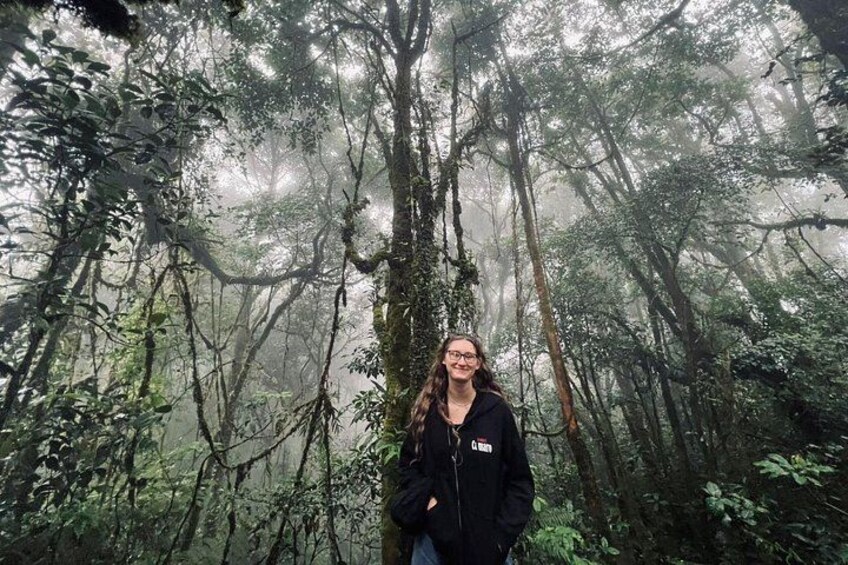 A nice thrilling hiking in Mossy Forest,Cameron Highlands 1