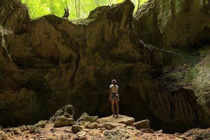 Una persona está de pie sobre un saliente rocoso dentro de una cueva, con vistas a la vegetación. 2