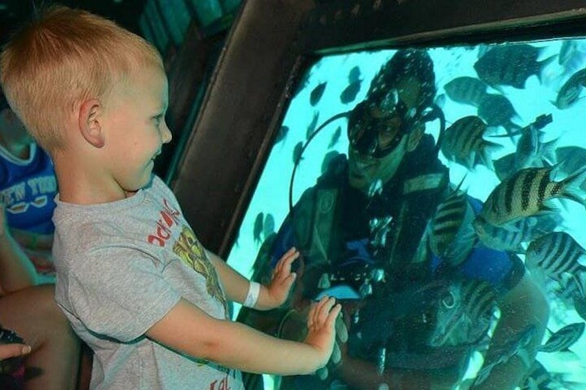 A child observing fish through an aquarium glass. 3