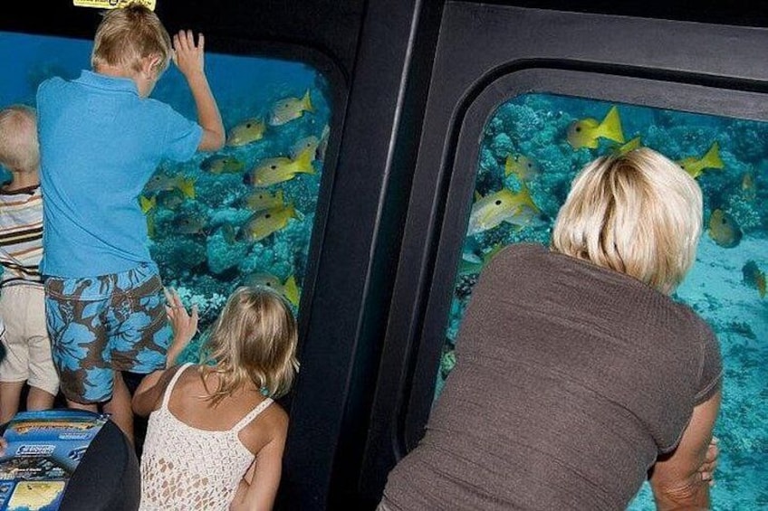 People observing fish through an aquarium window. 2