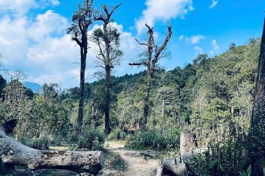 Sapa: 2-Days Fansipan Summit Trek With Local Hmong Guide 2
