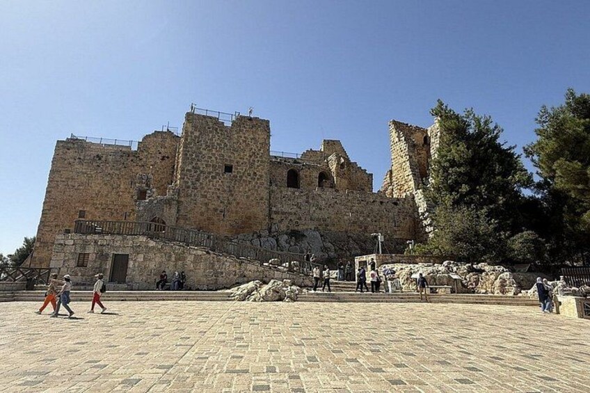 Private Tour to Jerash &Ajloun and Um Qais From Amman 3