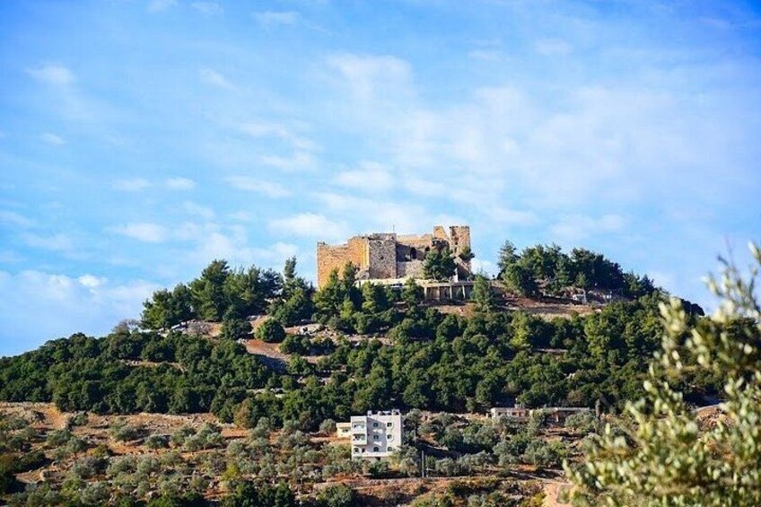 Private Tour to Jerash &Ajloun and Um Qais From Amman 1