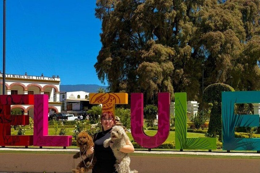 Half Day: El tule, Teotitlán y zona arqueologica de mitla 1