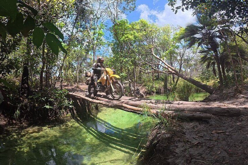 A person riding a motorcycle on a makeshift bridge over a body of water, surrounded by dense greenery and trees. 2