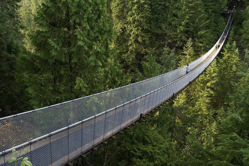 Vancouver 1-Day Tour(Capilano/Lookout Tower /Stanley Park)English 2