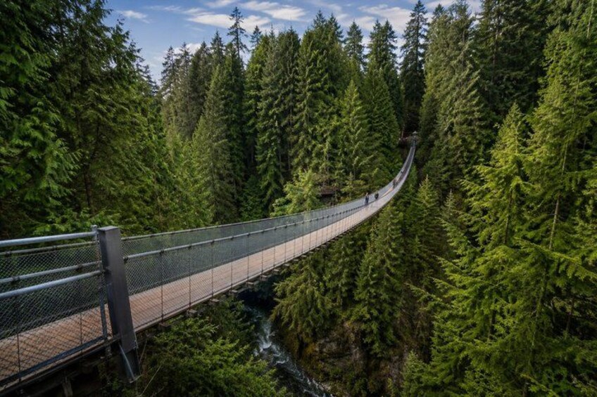 Vancouver 1-Day Tour(Capilano/Lookout Tower /Stanley Park)English 5