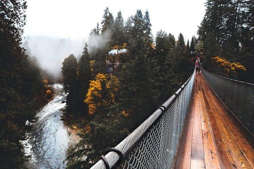 Vancouver 1-Day Tour(Capilano/Lookout Tower /Stanley Park)English 4