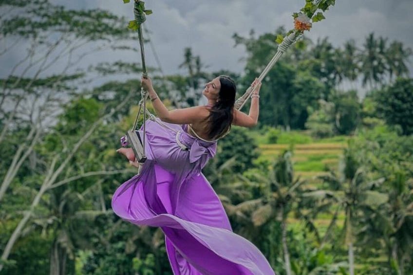 A person in a purple dress swinging on a swing with a rope, surrounded by greenery and trees. 2