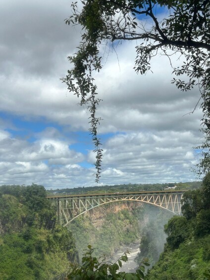 A bridge over a river surrounded by dense forest. 2
