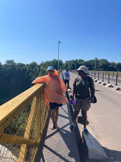 A pedestrian bridge with safety railings and a netted side barrier. 5
