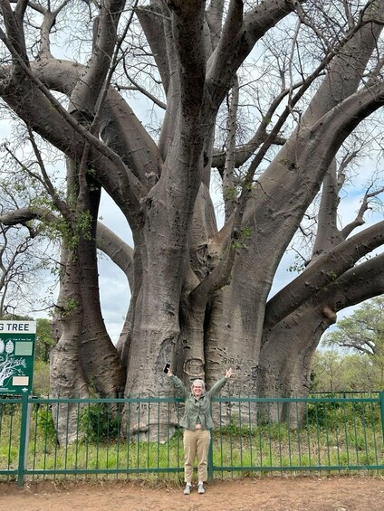 A person standing in front of a large tree with a sign that reads 'G Tree.' 1
