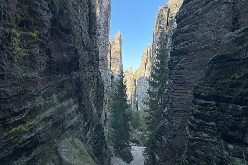 Discover Bohemia: Easy Hike, Castle Lunch & Craft Brewery 3