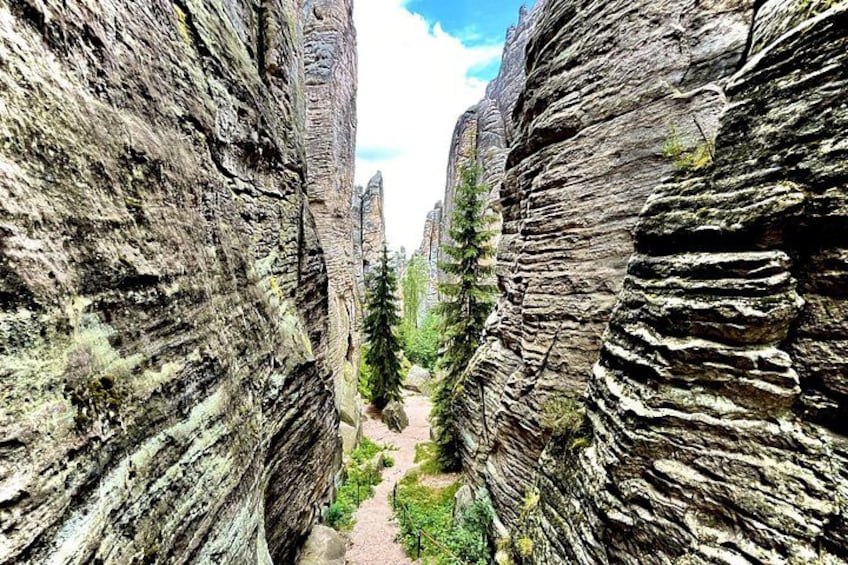 Discover Bohemia: Easy Hike, Castle Lunch & Craft Brewery 5