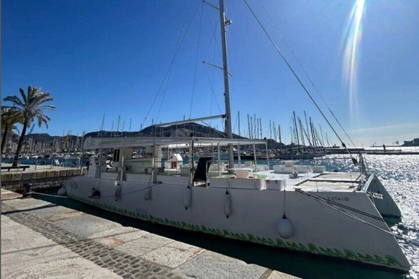 Een witte boot afgemeerd in een jachthaven, met een heldere lucht en palmbomen op de achtergrond. 3