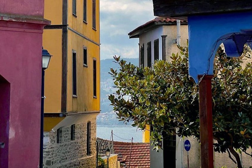 Colorful buildings, a tree, and a view of the sea. 2