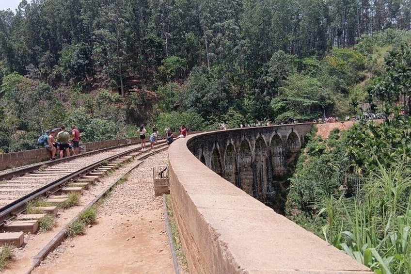 Day Tour at Sri Lanka Elephant Transit , Train Ride and Nine arch 2